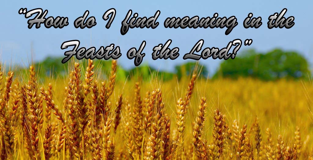 Question: “How Do I Find Meaning in the Feasts of the Lord?”