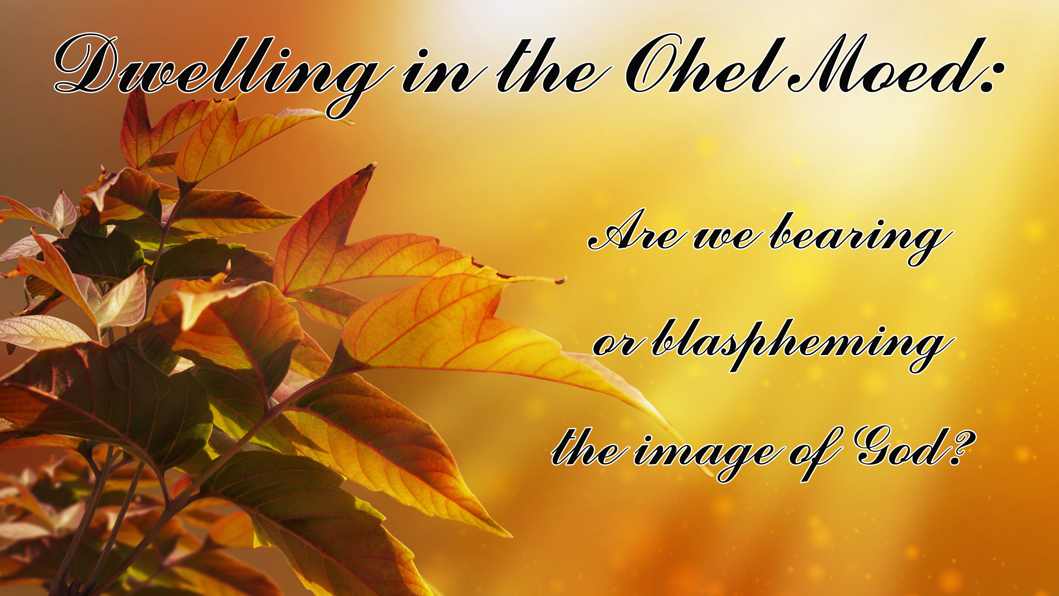 Dwelling in the Ohel Moed: Bearing or Blaspheming the Image of God