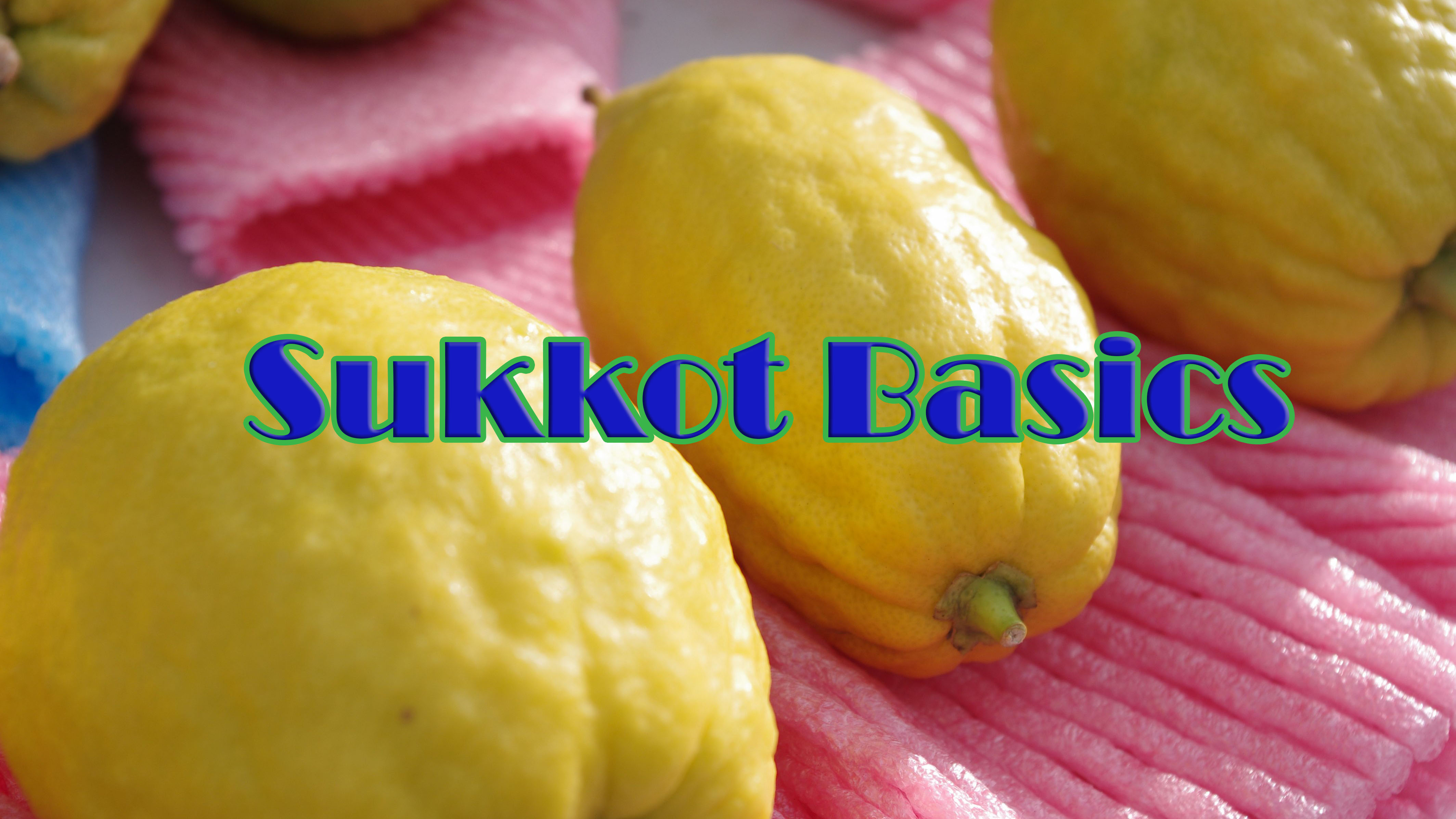 Sukkot Basics for Total Beginners