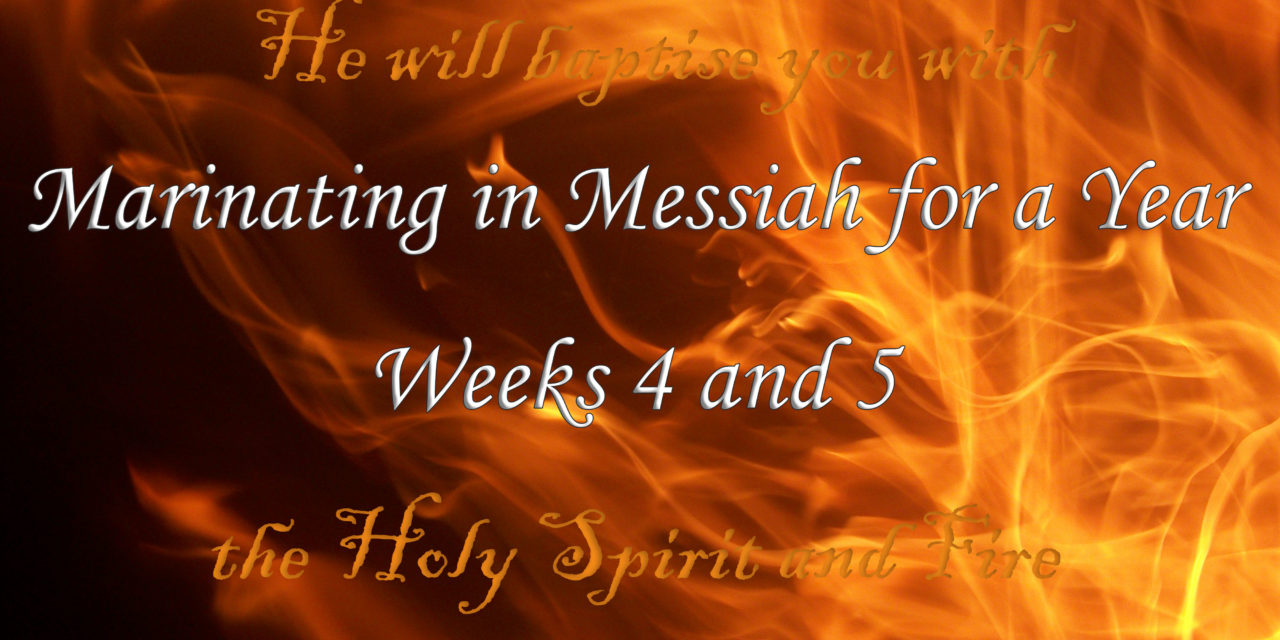 Marinating in Messiah for a Year–Weeks 4&5