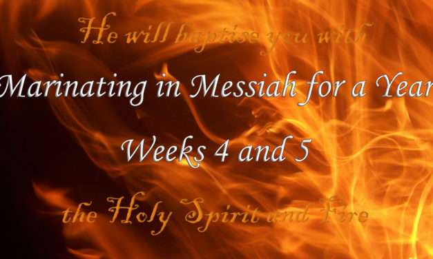 Marinating in Messiah for a Year–Weeks 4&5