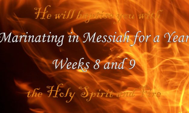 Marinating in Messiah for a Year–Weeks 8&9