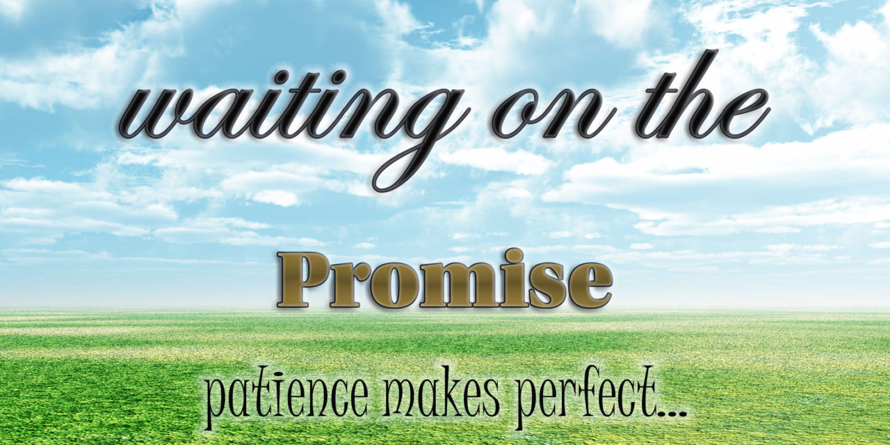 Waiting for the promise: patience makes perfect